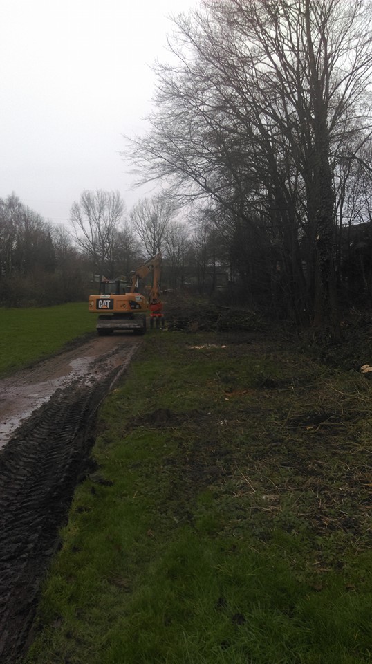 Rodung am Spielplatz 