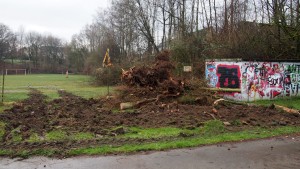 Zerstörung der Grünanlage Am Kuhlenkamp