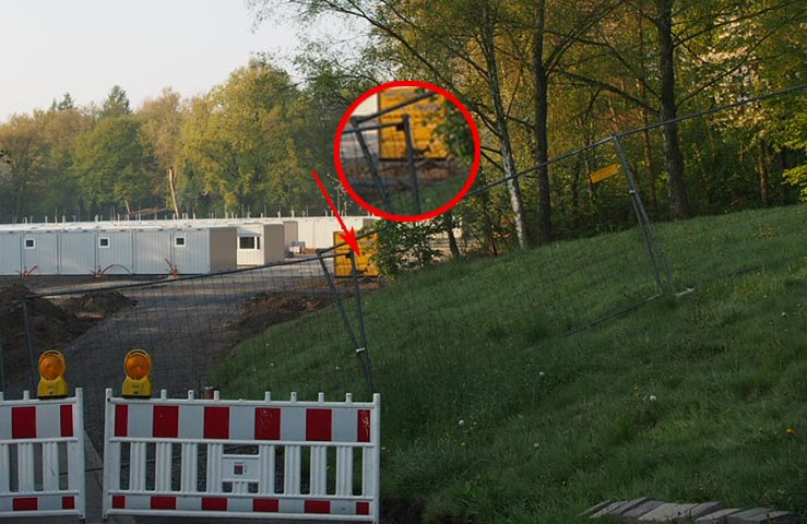 Verwirrtes Reh erkennt seinen Lebensraum Am Kuhlenkamp nicht mehr